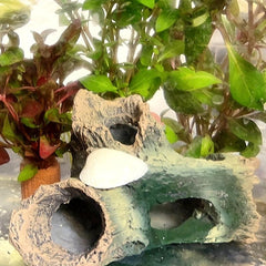 Fish Tank Wood Trunk Decoration with Hideout Caves
