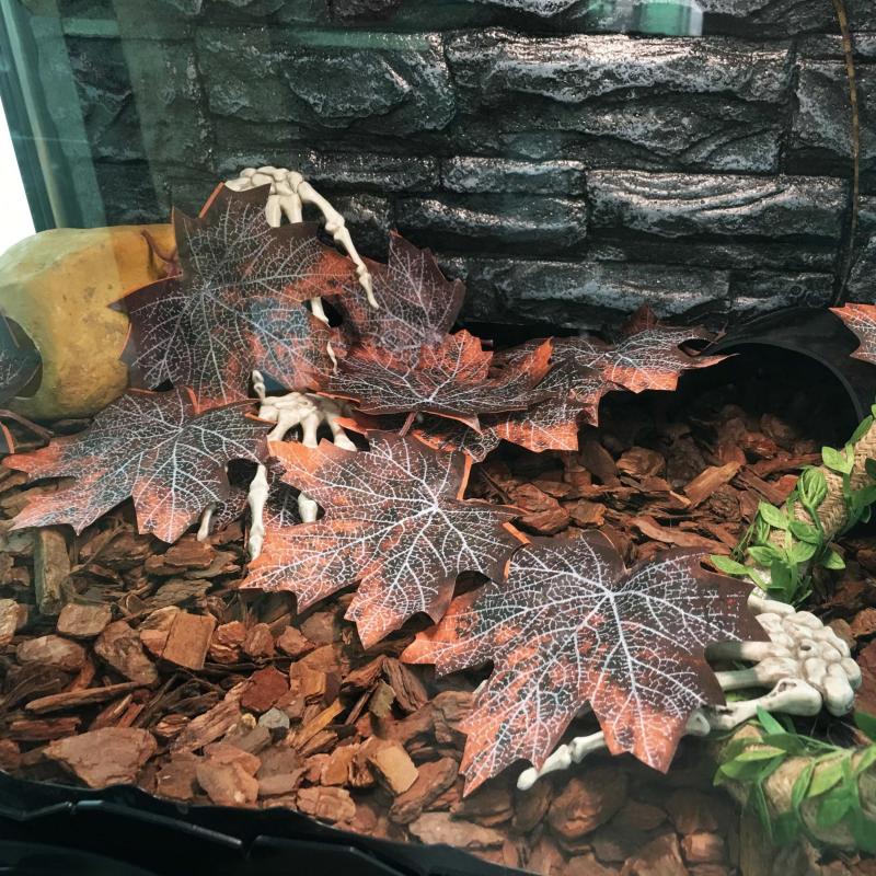 12pcs Reptile Leaves Spider Hides Cave Small Animal Hideaway Pet Toys