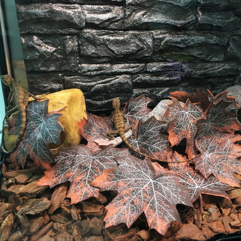 12pcs Reptile Leaves Spider Hides Cave Small Animal Hideaway Pet Toys