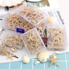 20pcs Natural Starfish Sea Shell Conch Fish Tank Decoration Ornaments
