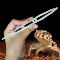Elastic Reptile Feeding Clip Glow in the dark Tweezers