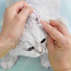 Pet Eye Wash Pads for Dogs and Cats - Gentle and Effective Eye Cleaning Wipes