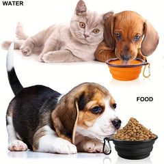Collapsible Dog Bowl Portable for Walking and Traveling