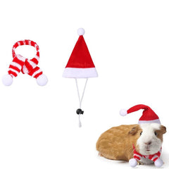 Christmas Small Pet Santa Hat With Red And Scarf Dress Up