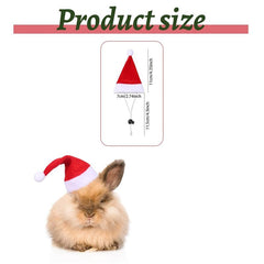 Christmas Small Pet Santa Hat With Red And Scarf Dress Up