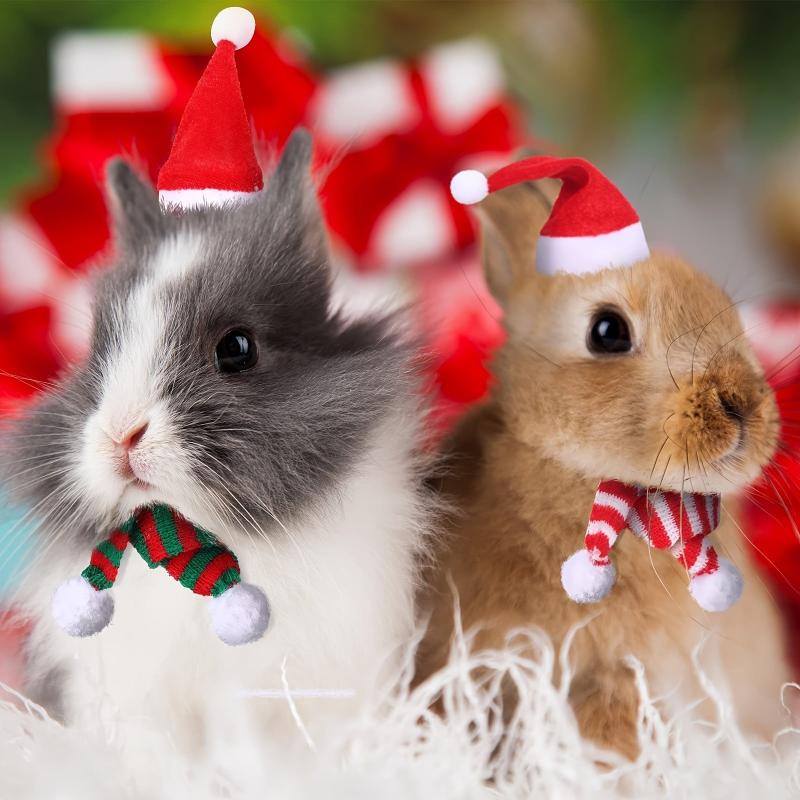 Christmas Small Pet Santa Hat With Red And Scarf Dress Up