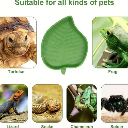 Reptile Leaf Shape Food Water Bowl Tortoise Water Dish Small Animal