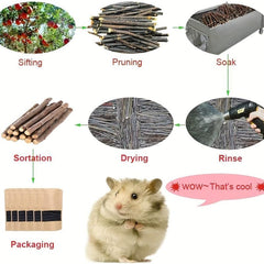50pcs Natural Wood Chew Sticks for Small Animals Dental Health