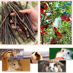 50pcs Natural Wood Chew Sticks for Small Animals Dental Health