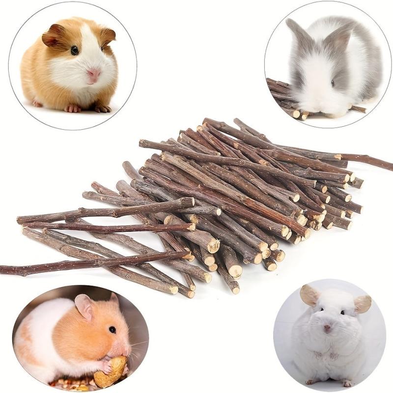 50pcs Natural Wood Chew Sticks for Small Animals Dental Health