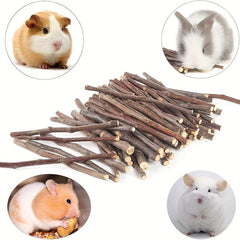 50pcs Natural Wood Chew Sticks for Small Animals Dental Health