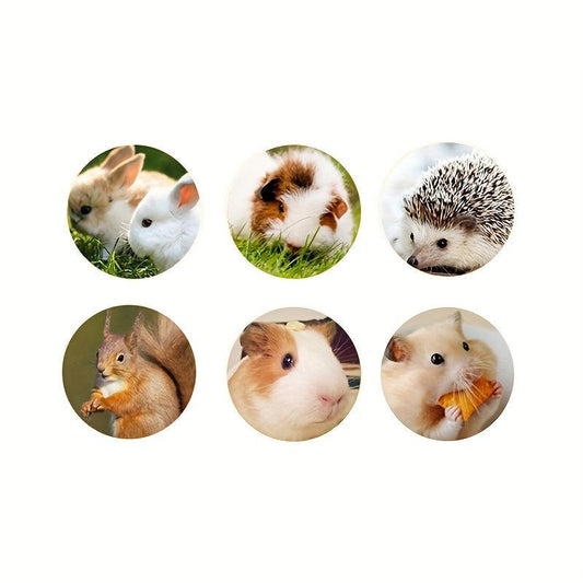 Rabbit Molar Stick Chinchilla Pig Supplies Pet Molar Branch