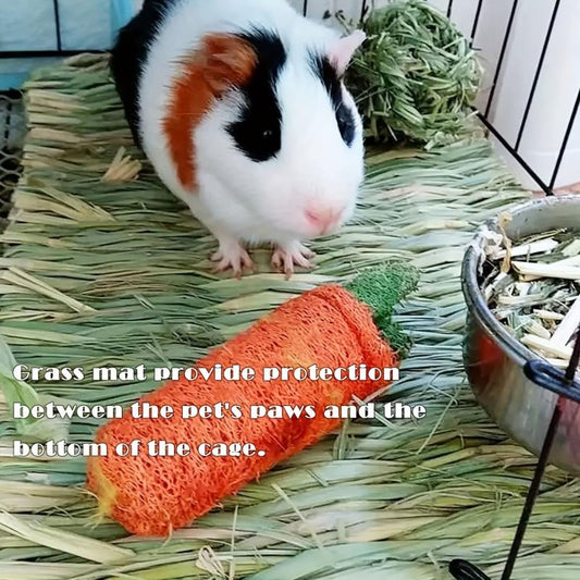 Natural Grass Hideaway Hut for Small Animals