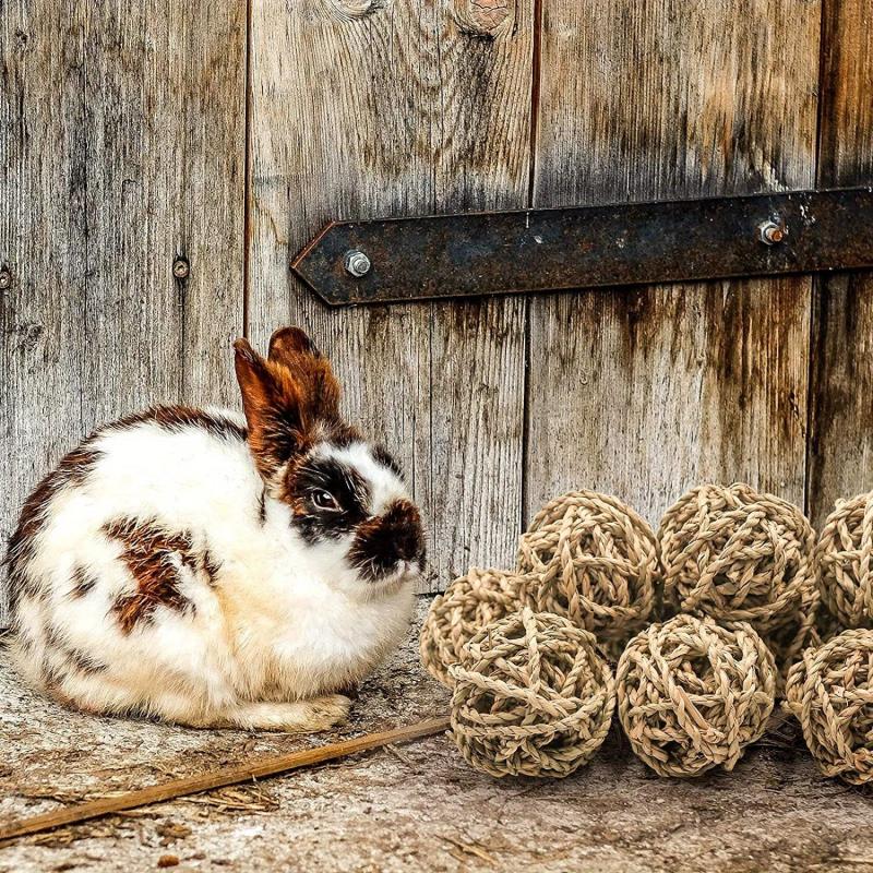 4 Pcs Small Animal Chew Balls Toy Rolling Activity Balls Bunny Treat Grass Ball