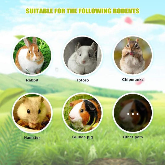 8pcs Small Animals Play Balls & Rolling Chew Toys