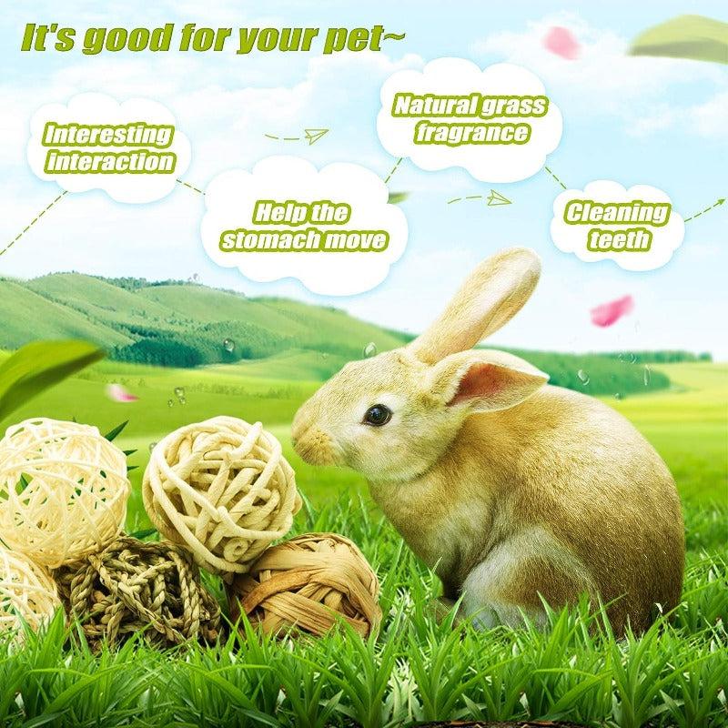 8pcs Small Animals Play Balls & Rolling Chew Toys