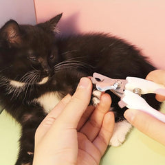 Pet Nail Clippers with File Safe and Easy to Use for Cats and Dogs