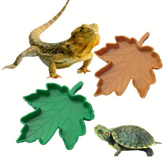 Durable Plastic Reptile Feeding Bowl for Mealworms and Water
