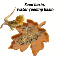 Durable Plastic Reptile Feeding Bowl for Mealworms and Water
