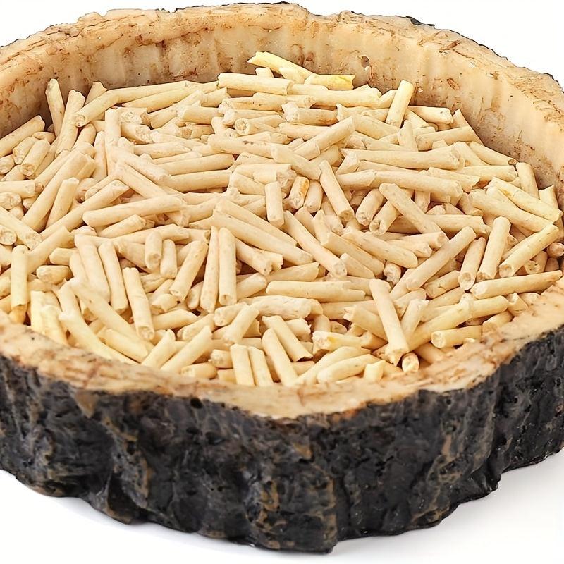 Reptile Food & Water Dish for Lizards, Dragons, Snakes