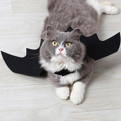 Pet Bat Costume for Dogs with Bat Wings