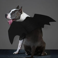 Pet Bat Costume for Dogs with Bat Wings