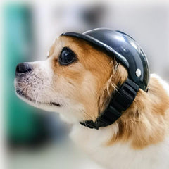 Mini Pet Helmet Motorcycle Helmet Dog Cat Headwear Accessories