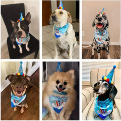 Dog Birthday Set Bandana Scarf Party Hat Bow Tie for Small Medium Large Dogs