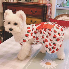 Summer Thin Floral Pet Princess Dress for Small Dog & Cat