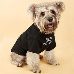 Letter Graphic Pet Tee Summer Clothes