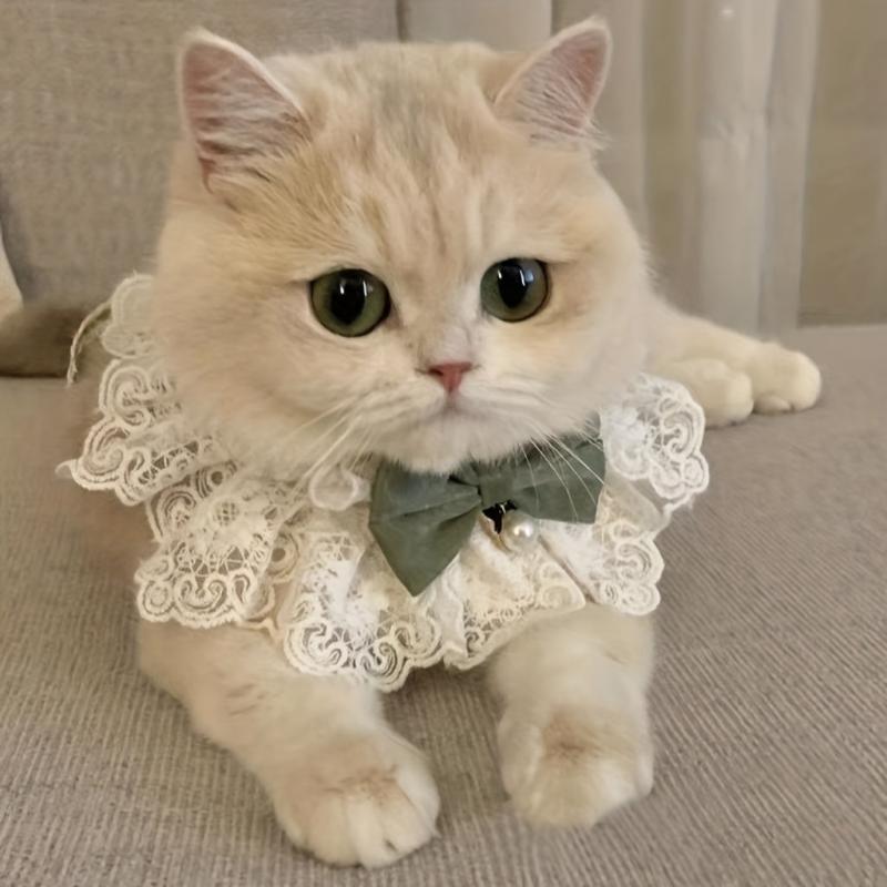 Stylish Lace Cat & Dog Collar with Bell and Bow Tie