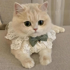 Stylish Lace Cat & Dog Collar with Bell and Bow Tie