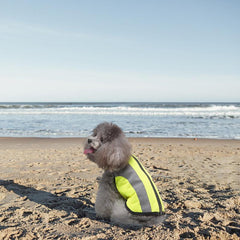 Reflective Safety Dog Vest Outdoor Night Jacket Small Medium Large