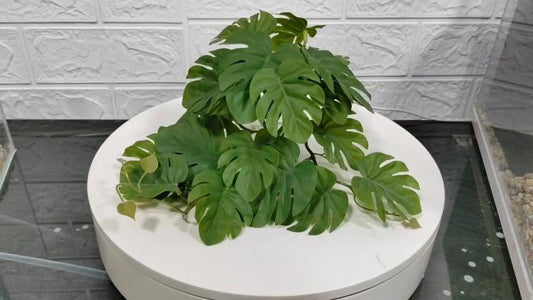 Plastic Water Plant Vine Reptile Tank Decoration Turtle Guarding Palace Lizard