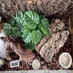 Plastic Water Plant Vine Reptile Tank Decoration Turtle Guarding Palace Lizard