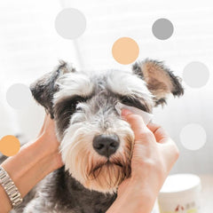 Pet Grooming Wet Tissue 130/200pcs Dog Cat Cleaning Paper Towels