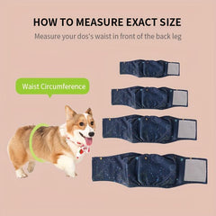 Reusable Washable Dog Diaper - Leak Proof Dog Sanitary Pant for Male Dogs