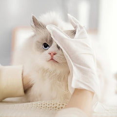 Pet Cleaning Glove & Wipes for Dog Cat Bathing Grooming