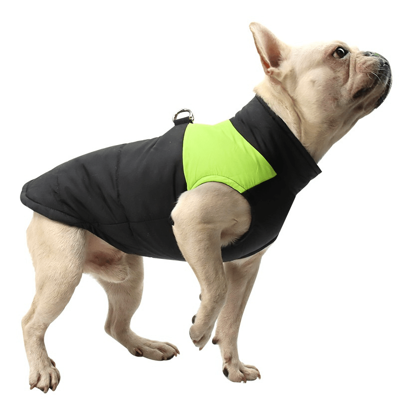 Quilted Winter Vest for Dogs Warm and Cozy Pet Jacket Zipper