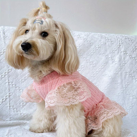 Pet Flying Sleeve Dress for Summer Parties