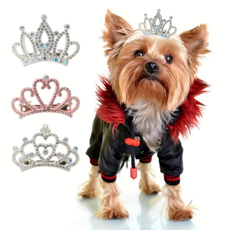 Pet Hair Clips - Stylish Accessories for Grooming