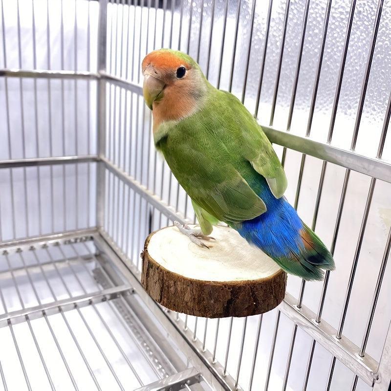 Wooden Parrot Swing: Fun & Durable Toy