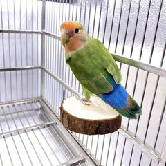 Wooden Parrot Swing: Fun & Durable Toy