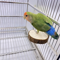 Wooden Parrot Swing: Fun & Durable Toy