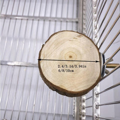 Wooden Parrot Swing: Fun & Durable Toy
