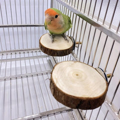 Wooden Parrot Swing: Fun & Durable Toy