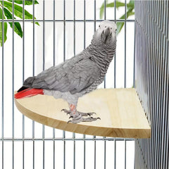 Easy Install Parrot Corner Perch Platform Stand