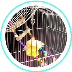 Stainless Steel Parrot Bird Feeder Hangs Vegetables Fruits Healthy Eating