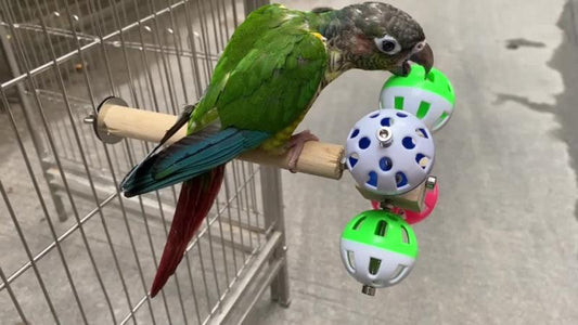 Colorful Bell Wooden Stand Rod Parrot Molar Toy
