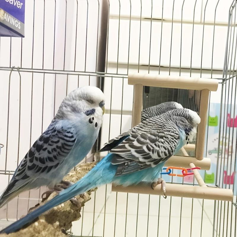 Bird Mirror Toy Hanging Swing for Small Parrot